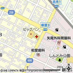北海道千歳市信濃3丁目5-21周辺の地図