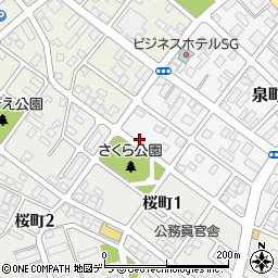 北海道恵庭市泉町206周辺の地図