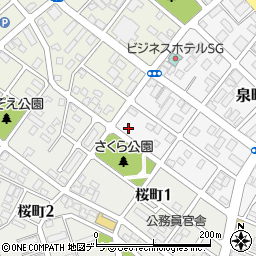 北海道恵庭市泉町207周辺の地図