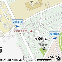 ビルゴ文京町周辺の地図