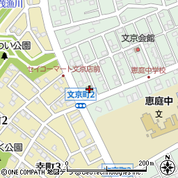 セイコーマート文京周辺の地図