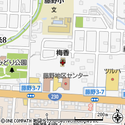 札幌梅香幼稚園周辺の地図