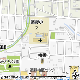 札幌市立藤野小学校周辺の地図