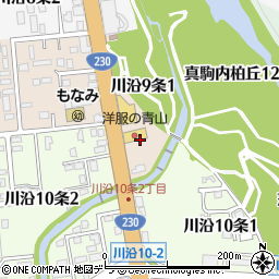 北海道札幌市南区川沿９条1丁目周辺の地図