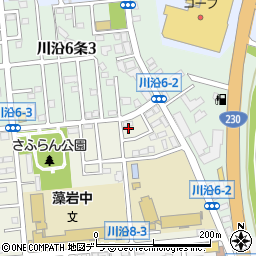 小川ハイツＢ周辺の地図
