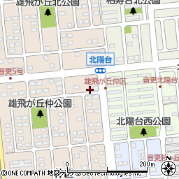 北海道河東郡音更町雄飛が丘仲区1-167周辺の地図