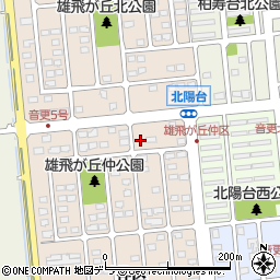 北海道河東郡音更町雄飛が丘仲区1-175周辺の地図