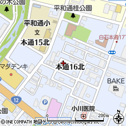 北海道札幌市白石区本通１６丁目北3-3周辺の地図