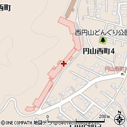セイコーマート西円山病院店周辺の地図