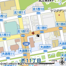 札幌弁護士会高齢者・障害者支援センター周辺の地図
