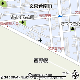 北海道江別市文京台南町20周辺の地図