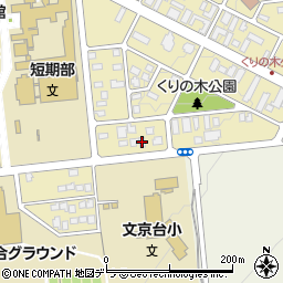 早川ハイツ周辺の地図