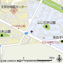 北海道江別市文京台南町4-8周辺の地図