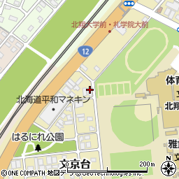 株式会社ナドワール・ジャパン周辺の地図
