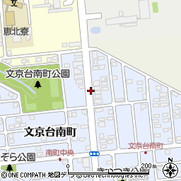 文京台南町中央周辺の地図