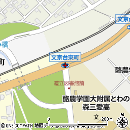 文京台東町周辺の地図