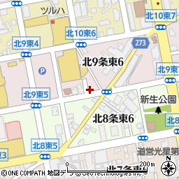 北海道札幌市東区北９条東6丁目1-3周辺の地図