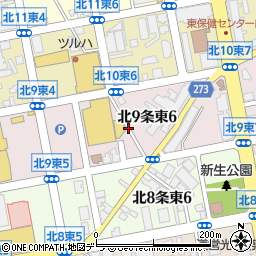 北海道札幌市東区北９条東6丁目1周辺の地図