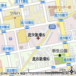 北海道札幌市東区北９条東6丁目2-43周辺の地図
