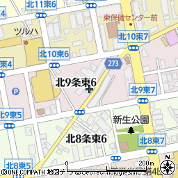 北海道札幌市東区北９条東6丁目2-41周辺の地図