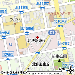 北海道札幌市東区北９条東6丁目2-39周辺の地図