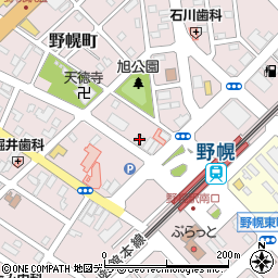 ニコルハイツ野幌駅前周辺の地図