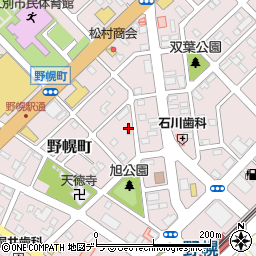 北海道江別市野幌町43-11周辺の地図