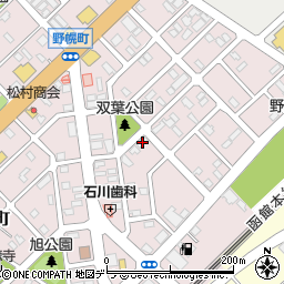 北海道江別市野幌町31-11周辺の地図