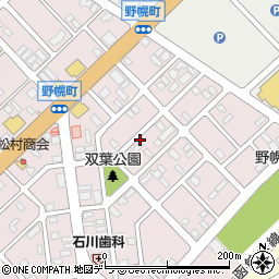 北海道江別市野幌町24-13周辺の地図