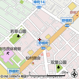 北海道江別市野幌町3-19周辺の地図