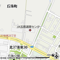 北海道札幌市東区丘珠町499周辺の地図