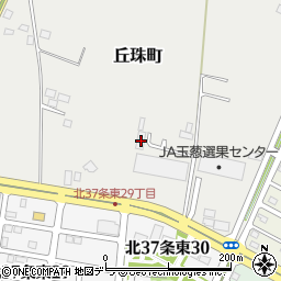 北海道札幌市東区丘珠町499-131周辺の地図