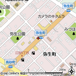 弥生町周辺の地図