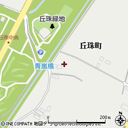 朝日航洋株式会社札幌航空支社　北海道防災基地周辺の地図