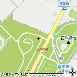 北海道札幌市東区丘珠町250周辺の地図