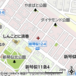 北海道札幌市北区新琴似１２条5丁目6周辺の地図