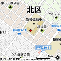 札幌市立新琴似緑小学校周辺の地図