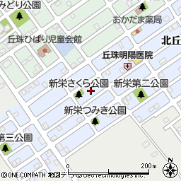 北海道札幌市東区北丘珠３条1丁目17周辺の地図