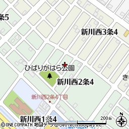 北海道札幌市北区新川西２条4丁目5周辺の地図