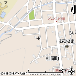 北海道小樽市桂岡町28-24周辺の地図