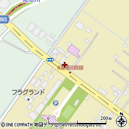北海道札幌市北区新琴似町795-22周辺の地図