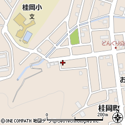 北海道小樽市桂岡町28-34周辺の地図