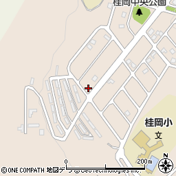北海道小樽市桂岡町19-9周辺の地図