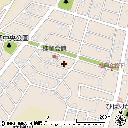 北海道小樽市桂岡町16-16周辺の地図