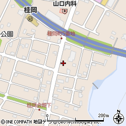北海道小樽市桂岡町4-6周辺の地図