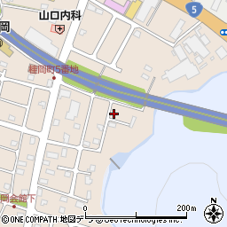 北海道小樽市桂岡町4-26周辺の地図