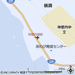 北海道古宇郡神恵内村神恵内村91周辺の地図