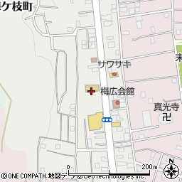 北海道小樽市梅ケ枝町11周辺の地図