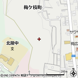 北海道小樽市梅ケ枝町15周辺の地図
