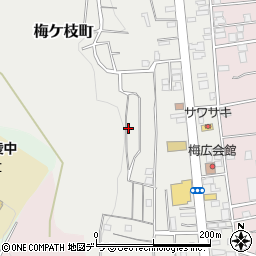 北海道小樽市梅ケ枝町14周辺の地図